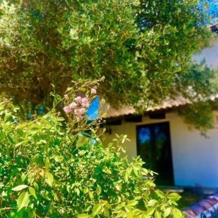 Camera Villa Sarda Aurora Elmas Εξωτερικό φωτογραφία