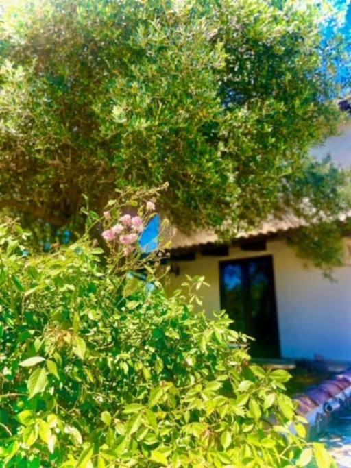 Camera Villa Sarda Aurora Elmas Εξωτερικό φωτογραφία