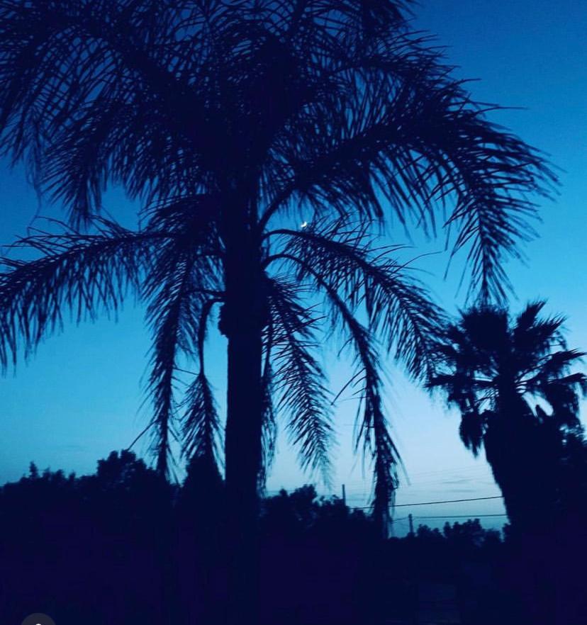 Camera Villa Sarda Aurora Elmas Εξωτερικό φωτογραφία